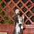 Продается мейн кун (американская енотовая кошка) - фото 4 к объявлению