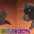Продается шипперке (схиперке) - фото 2 к объявлению