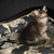 Продается ангорская кошка (турецкая ангора) - фото 6 к объявлению
