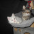 Продается ангорская кошка (турецкая ангора) - фото 10 к объявлению