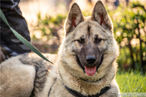 ����� � �������, ������� ���� ���. - ���� 1 � ����������