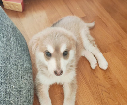 ����� ����� ���� ���������� ������ - ����������  � ����������