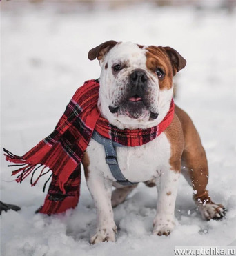 ������� ������� ��� � ������ ���� - ���� 1 � ����������