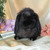 Декоративный кролик из питомника "красная жемчужина" - фото 3 к объявлению