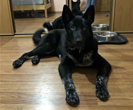 ������� ������� ������ ���� ���. - ���� 1 � ����������