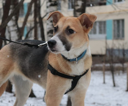 ������ ���� ���������� ������ - ���� 1 � ����������