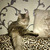 Молодой котик Антоша ждет своего человека - фото 6 к объявлению