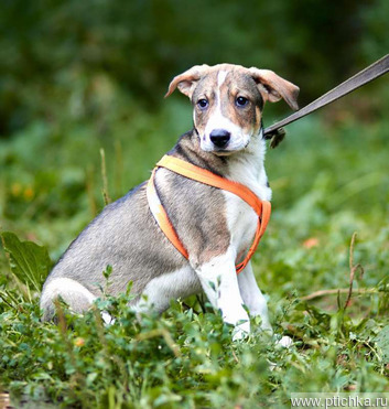 ������� ������� � �������� ������� ���� - ���� 1 � ����������