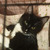 Котенок Кит ищет дом для счастливой жизни - фото 5 к объявлению