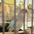 Продается попугай - фото 1 к объявлению