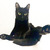 Чёрная кошка Раста в добрые руки - фото 2 к объявлению