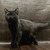 Продается британский короткошерстный котенок - фото 2 к объявлению