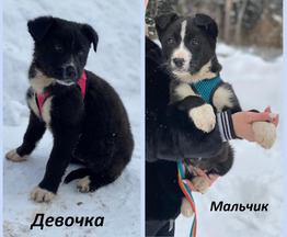    ,    -  1  