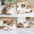 Британские котята из профессионального питомника - фото 6 к объявлению