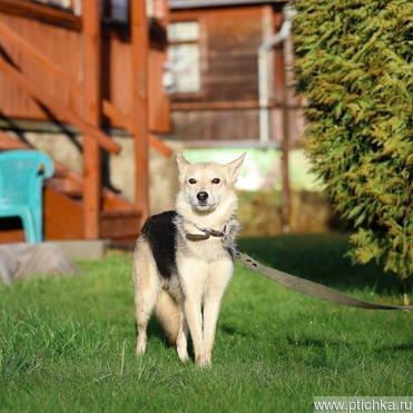 ��������� ������� ������� � ��� - ���� 1 � ����������