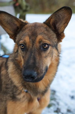 ���� � ������� ��������� � ���� ��� - ���� 1 � ����������