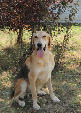 ������ ���� ���������� ������ - ���� 1 � ����������