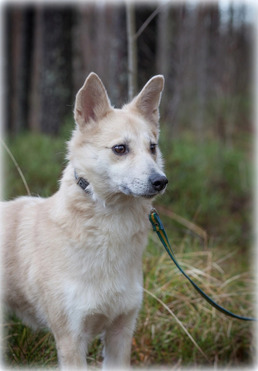 ������� ���� � ������ ���� - ���� 1 � ����������