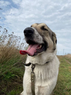 ��������������� ������� ���� ���������� ������ - ���� 1 � ����������