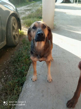 ������ ���� ���������� ������ - ����������  � ����������