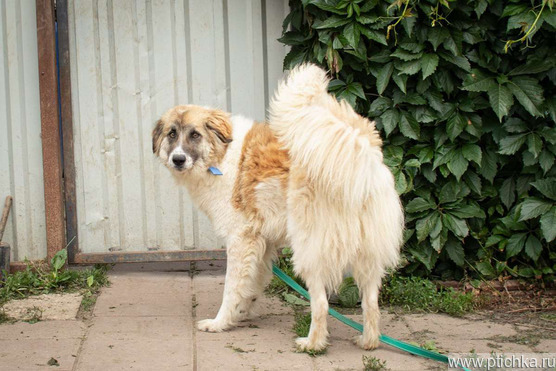 ������ ���� ���������� ������ - ���� 1 � ����������