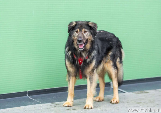 ������ ���� ���������� ������ - ���� 1 � ����������