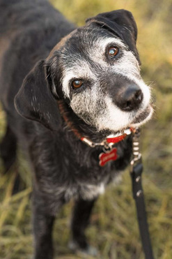 ������ ���� ���������� ������ - ���� 1 � ����������