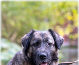 ���� ��� �������� ������ ����� - ���� 1 � ����������