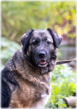 ���� ��� �������� ������ ����� - ���� 1 � ����������