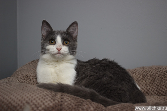 �������� 6 ��� ������� ���� ���� �����! - ���� 1 � ����������