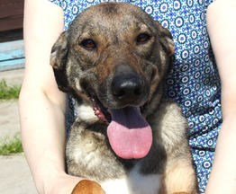 ��������, ������, ��������������, ��������� ������ ����� ���� ��� � ����� - ���� 1 � ����������