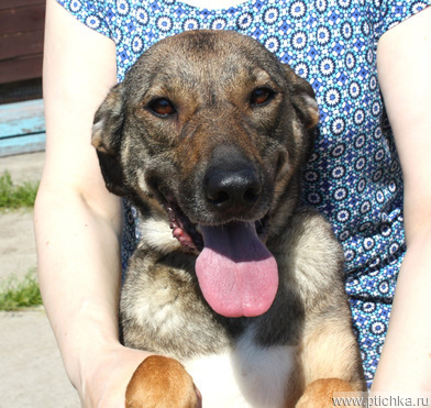 ��������, ������, ��������������, ��������� ������ ����� ���� ��� � ����� - ���� 1 � ����������