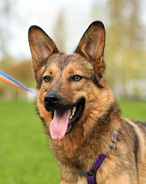 ���� ���� ���! - ���� 1 � ����������