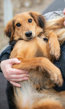 ��������� ������� ��� � ������ ���� - ���� 1 � ����������