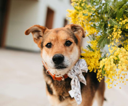 ������ ���� ���������� ������ - ���� 1 � ����������