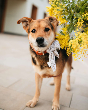 ������ ���� ���������� ������ - ���� 1 � ����������