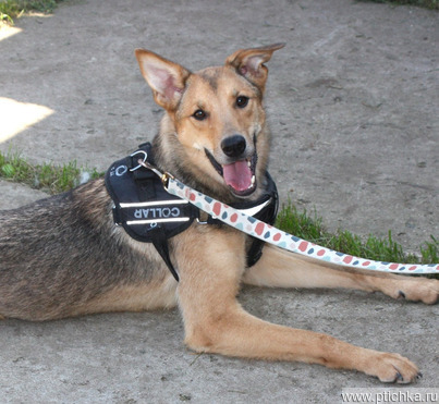 ����������� ���������� ����� ���� ������ ����� ��� ���� ��������� �����! - ���� 1 � ����������