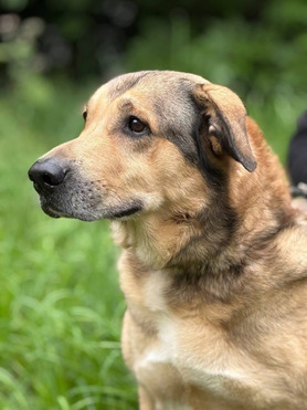 ����� ����� ���� ���� ����� - ���� 1 � ����������