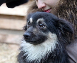 �������� ���� ���� ���������� ������ - ���� 1 � ����������