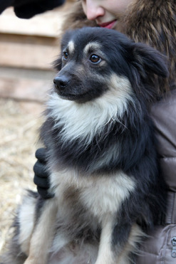 �������� ���� ���� ���������� ������ - ���� 1 � ����������