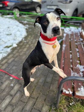 ������� ���� ���������� ������ - ���� 1 � ����������