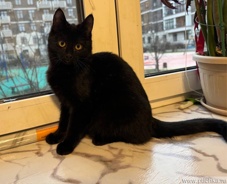 6 ��� ������ ��������� ������ ���� ���! - ���� 1 � ����������