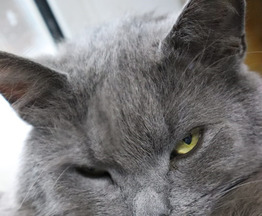 ������ ���� ���� � ���� - ���� 1 � ����������