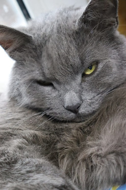 ������ ���� ���� � ���� - ���� 1 � ����������