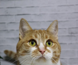 �������� � ������ �������� - ���� 1 � ����������