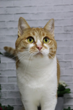 �������� � ������ �������� - ���� 1 � ����������