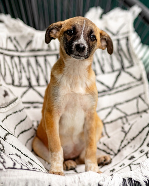 ������� ����� � �������� ���� ���� ���. - ���� 1 � ����������