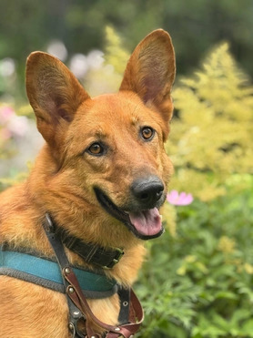 ����� � ��������� ����� � ������� ���� - ���� 1 � ����������