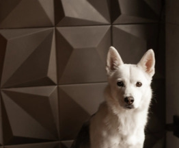 �������� ���� ���������� ������ - ���� 1 � ����������