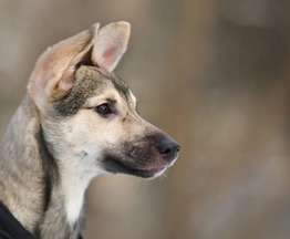 ����� ������� ����� � ���������� ��� ���� �����? - ���� 1 � ����������